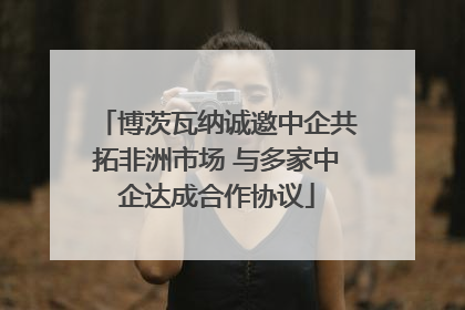 博茨瓦纳诚邀中企共拓非洲市场 与多家中企达成合作协议