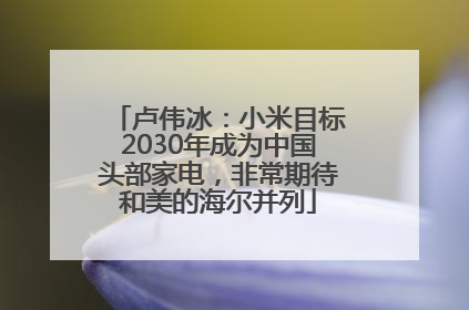 卢伟冰：小米目标2030年成为中国头部家电，非常期待和美的海尔并列