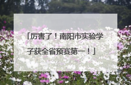 厉害了！南阳市实验学子获全省预赛第一！