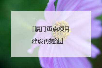 厦门重点项目建设再提速