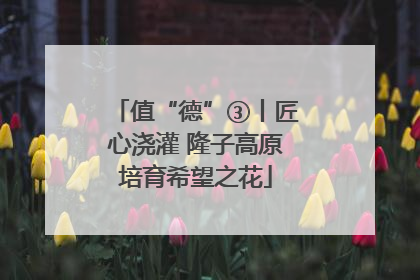 值“德”③丨匠心浇灌 隆子高原培育希望之花