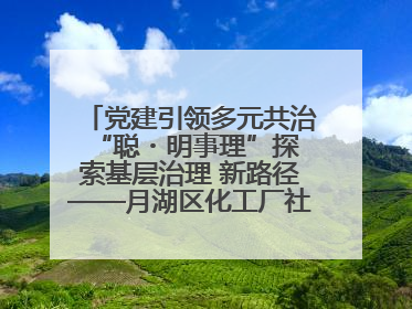 党建引领多元共治 “聪・明事理”探索基层治理 新路径——月湖区化工厂社区新实践