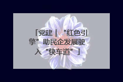 党建｜“红色引擎”助民企发展驶入“快车道”