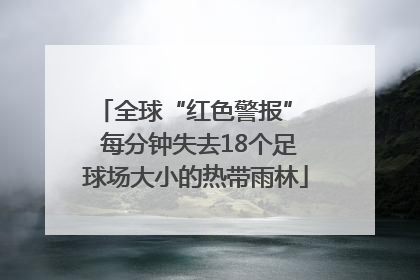 全球“红色警报”  每分钟失去18个足球场大小的热带雨林