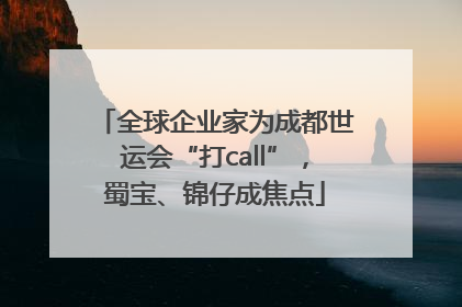 全球企业家为成都世运会“打call”，蜀宝、锦仔成焦点