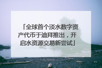 全球首个淡水数字资产代币于迪拜推出，开启水资源交易新尝试