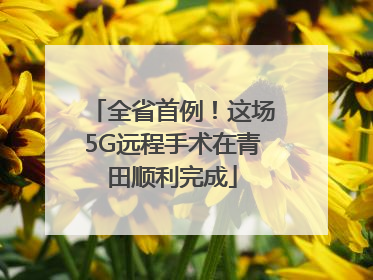 全省首例！这场5G远程手术在青田顺利完成