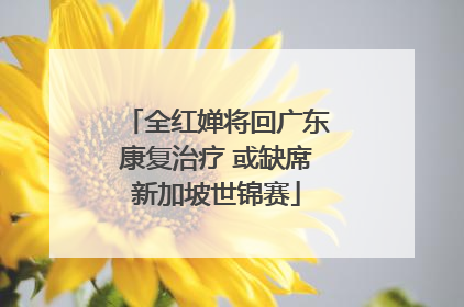 全红婵将回广东康复治疗 或缺席新加坡世锦赛