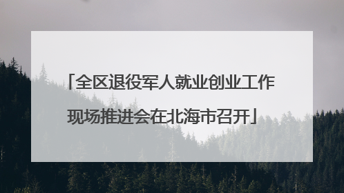全区退役军人就业创业工作现场推进会在北海市召开