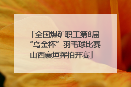 全国煤矿职工第8届“乌金杯”羽毛球比赛山西襄垣挥拍开赛