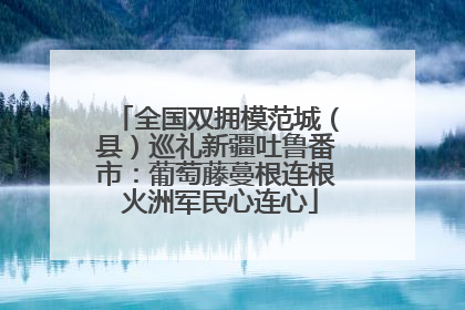 全国双拥模范城（县）巡礼新疆吐鲁番市：葡萄藤蔓根连根 火洲军民心连心