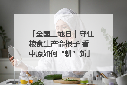 全国土地日｜守住粮食生产命根子 看中原如何“耕”新