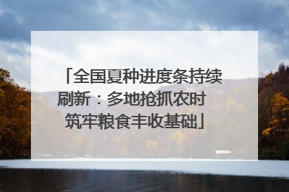 全国夏种进度条持续刷新：多地抢抓农时 筑牢粮食丰收基础