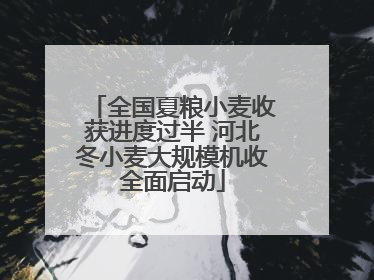 全国夏粮小麦收获进度过半 河北冬小麦大规模机收全面启动