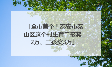 全市首个！泰安市泰山区这个村生育二孩奖2万、三孩奖3万