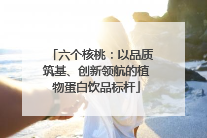 六个核桃：以品质筑基、创新领航的植物蛋白饮品标杆