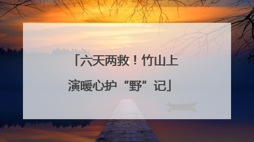 六天两救！竹山上演暖心护“野”记