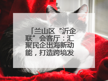兰山区“沂企联”会客厅：汇聚民企出海新动能，打造跨境发展“强磁场”