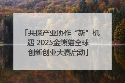 共探产业协作“新”机遇 2025金熊猫全球创新创业大赛启动