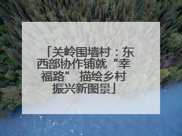 关岭围墙村：东西部协作铺就“幸福路” 描绘乡村振兴新图景
