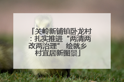 关岭新铺镇卧龙村：扎实推进“两清两改两治理” 绘就乡村宜居新图景