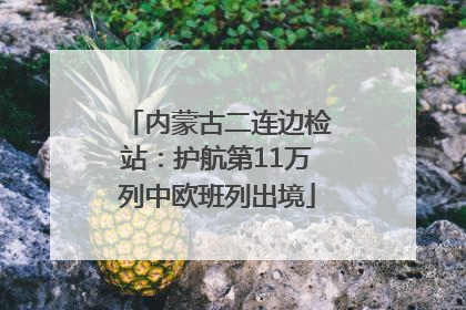 内蒙古二连边检站：护航第11万列中欧班列出境