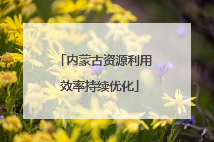 内蒙古资源利用效率持续优化