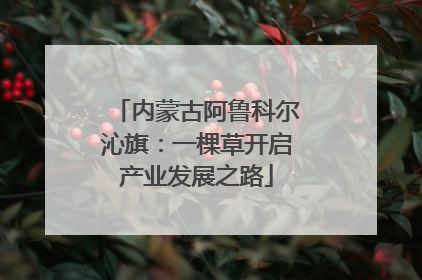 内蒙古阿鲁科尔沁旗：一棵草开启产业发展之路