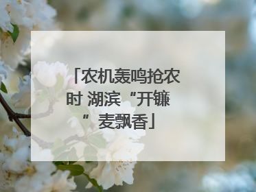 农机轰鸣抢农时 湖滨“开镰”麦飘香