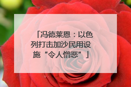 冯德莱恩：以色列打击加沙民用设施“令人憎恶”