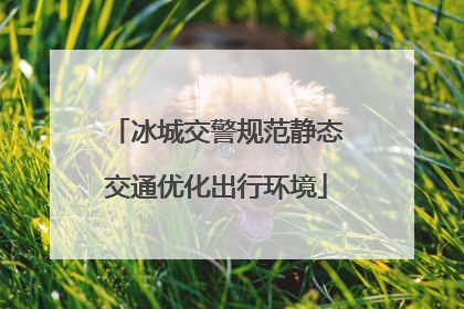 冰城交警规范静态交通优化出行环境