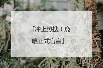 冲上热搜！鹿晗正式官宣