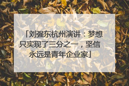 刘强东杭州演讲：梦想只实现了三分之一，坚信永远是青年企业家