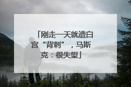 刚走一天就遭白宫“背刺”，马斯克：很失望