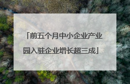 前五个月中小企业产业园入驻企业增长超三成