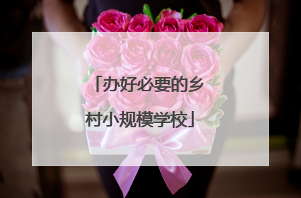 办好必要的乡村小规模学校