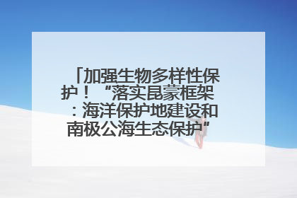 加强生物多样性保护！“落实昆蒙框架：海洋保护地建设和南极公海生态保护”主题论坛将举办