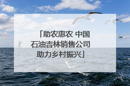 助农惠农 中国石油吉林销售公司助力乡村振兴