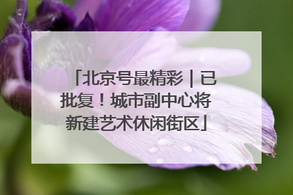 北京号最精彩｜已批复！城市副中心将新建艺术休闲街区