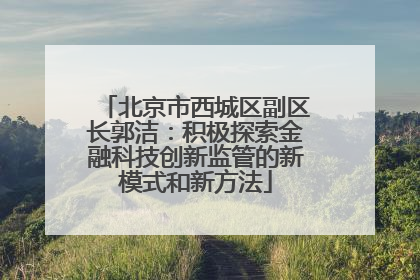 北京市西城区副区长郭洁：积极探索金融科技创新监管的新模式和新方法