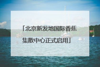 北京新发地国际香蕉集散中心正式启用