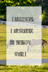 基层实践丨建党建联盟 聚振兴功能