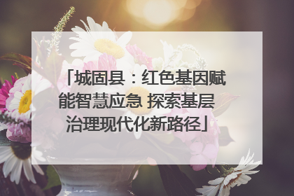城固县：红色基因赋能智慧应急 探索基层治理现代化新路径