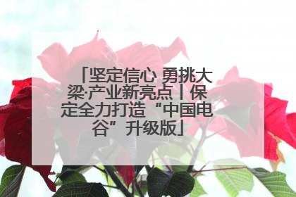 坚定信心 勇挑大梁·产业新亮点丨保定全力打造“中国电谷”升级版