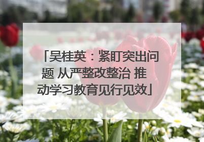 吴桂英：紧盯突出问题 从严整改整治 推动学习教育见行见效