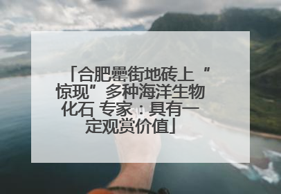 合肥罍街地砖上“惊现”多种海洋生物化石 专家：具有一定观赏价值
