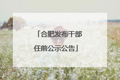 合肥发布干部任前公示公告