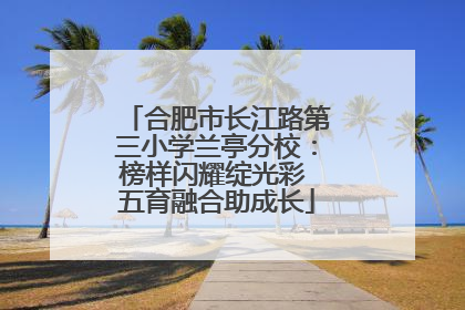 合肥市长江路第三小学兰亭分校：榜样闪耀绽光彩 五育融合助成长