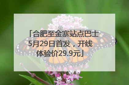 合肥至金寨站点巴士5月29日首发，开线体验价29.9元
