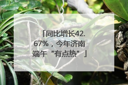 同比增长42.67%，今年济南端午“有点热”